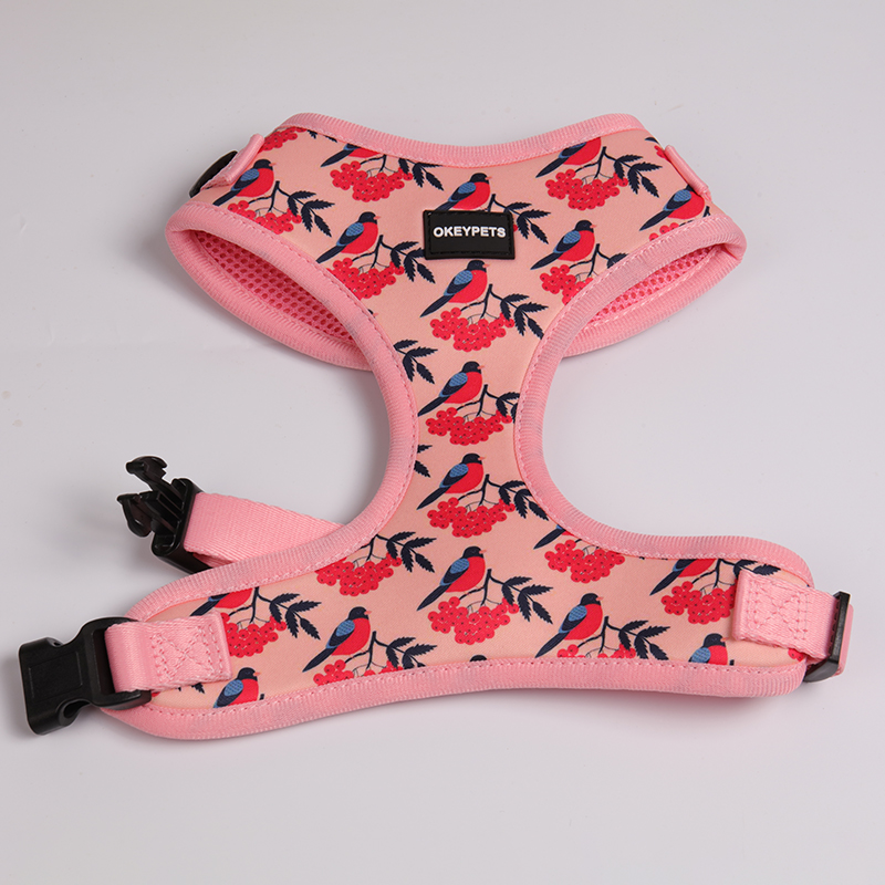OKEYPETS - OKEYPETS Sublimeringssele til Hunde, Åndbart Netdesign, Justerbar Hundesele, Brugerdefineret Luksus Kæledyrsartikler, Neopren Hundesele 21