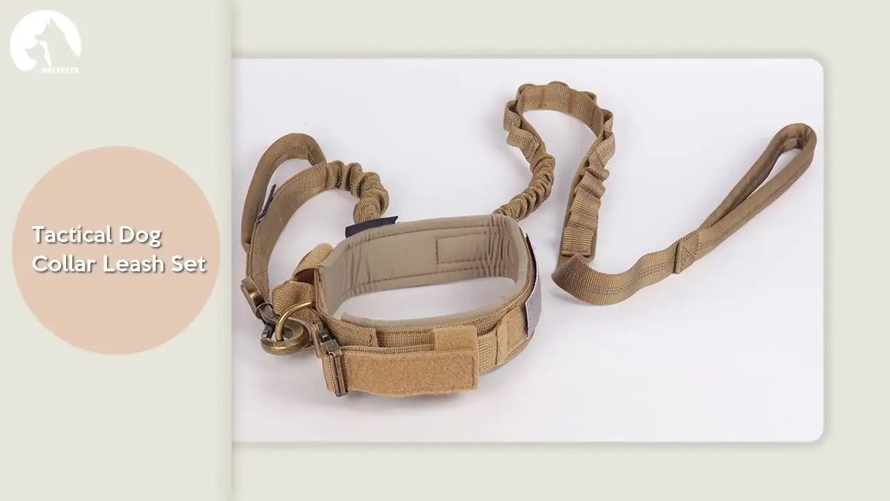 Набор тактических ошейников и поводков для собак OKEYPETS с регулируемой металлической пряжкой и мягкой ручкой. 1