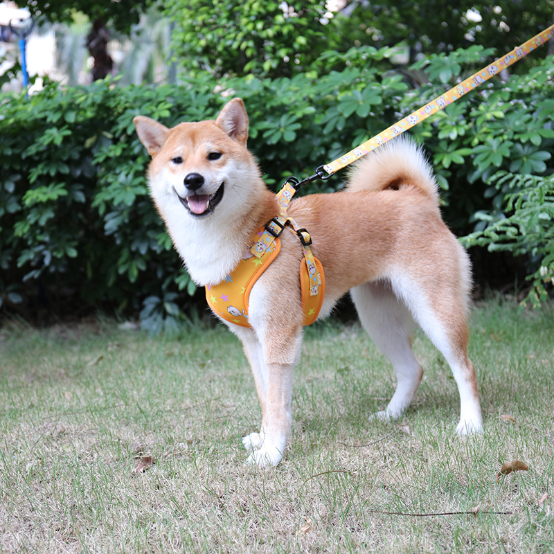 OKEYPETS - OKEYPETS Nye Mønstre Moderigtige Attraktive Luksus Bløde Bekvemme Private Label Polstrede Designer Hundesnore Kæledyrssnore 7