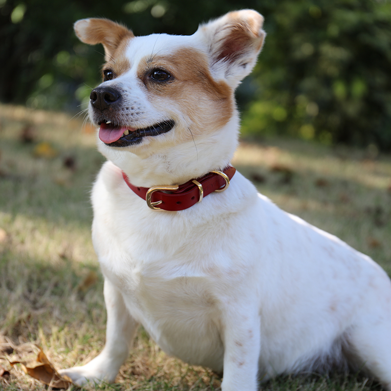 OKEYPETS - OKEYPETS Design Fashion Embossed Logo Heavy Duty Premium Cowhide Genuine Thick Personalized Dog Collar Leather Leather Dog Collar 8