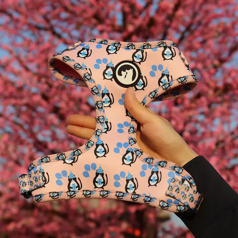 OKEYPETS - OKEYPETS Nouveau harnais pour chien en maille sublimée, maille douce, motif personnalisé, néoprène. Tous les produits 1