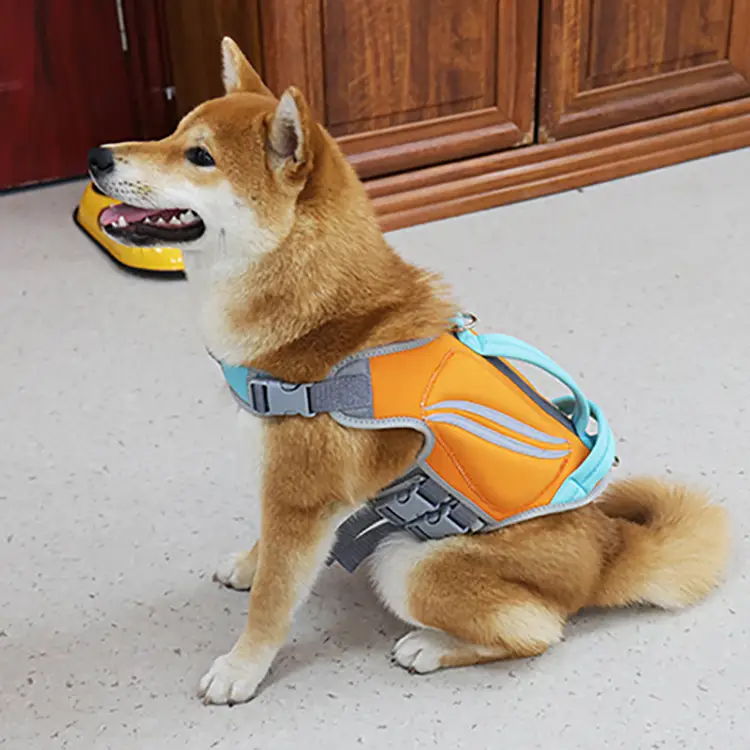 OKEYPETS - Gilet de sauvetage réfléchissant de qualité OKEYPETS en néoprène pour chien, combinaison de natation. Tous les produits 1