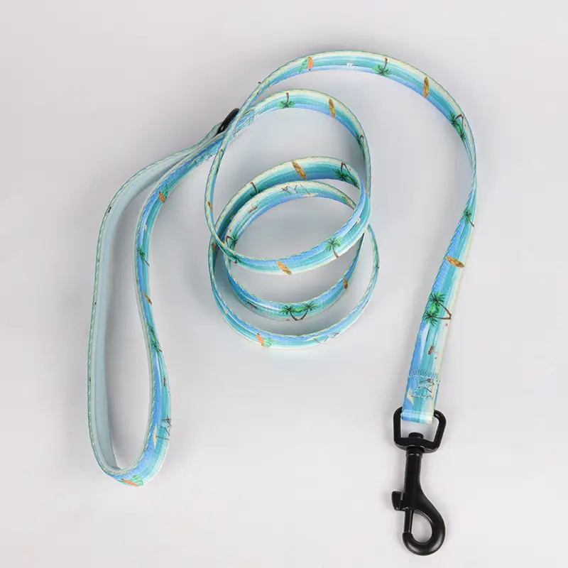 OKEYPETS - OKEYPETS Neopren Poliester Material Durabil Respirabil Alergare Mers Lesă pentru Câini La Modă Lesă pentru Câini din Poliester 1