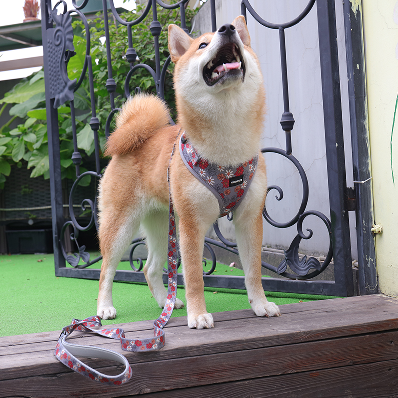 OKEYPETS - OKEYPETS Gilet en maille respirante et douce, collier et laisse personnalisés pour chien, ensemble harnais et laisse de luxe par sublimation 8