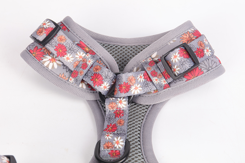 OKEYPETS - OKEYPETS Gilet en maille respirante et douce, collier et laisse personnalisés pour chien, ensemble harnais et laisse de luxe par sublimation 16