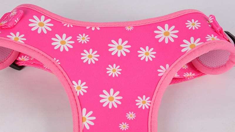 OKEYPETS – OKEYPETS Schnellverschluss-Hundegeschirr aus gepolstertem Polyester mit atmungsaktivem Muster, leicht zu bedienen, robust und individuell anpassbar 14