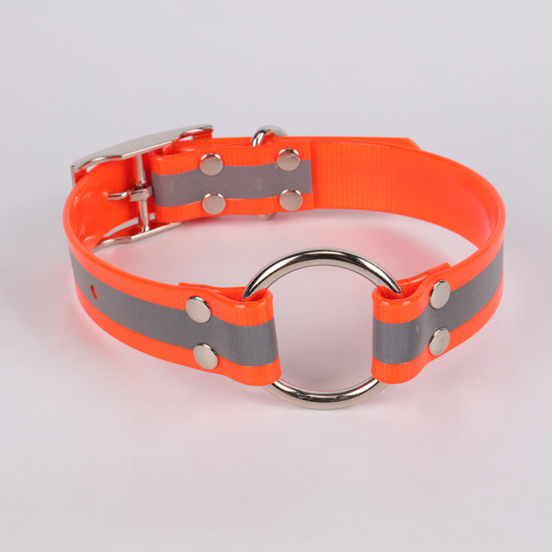 OKEYPETS - Collier de promenade pour animaux de compagnie OKEYPETS pas cher, personnalisé et réglable, en nylon TPU réfléchissant et imperméable. 10
