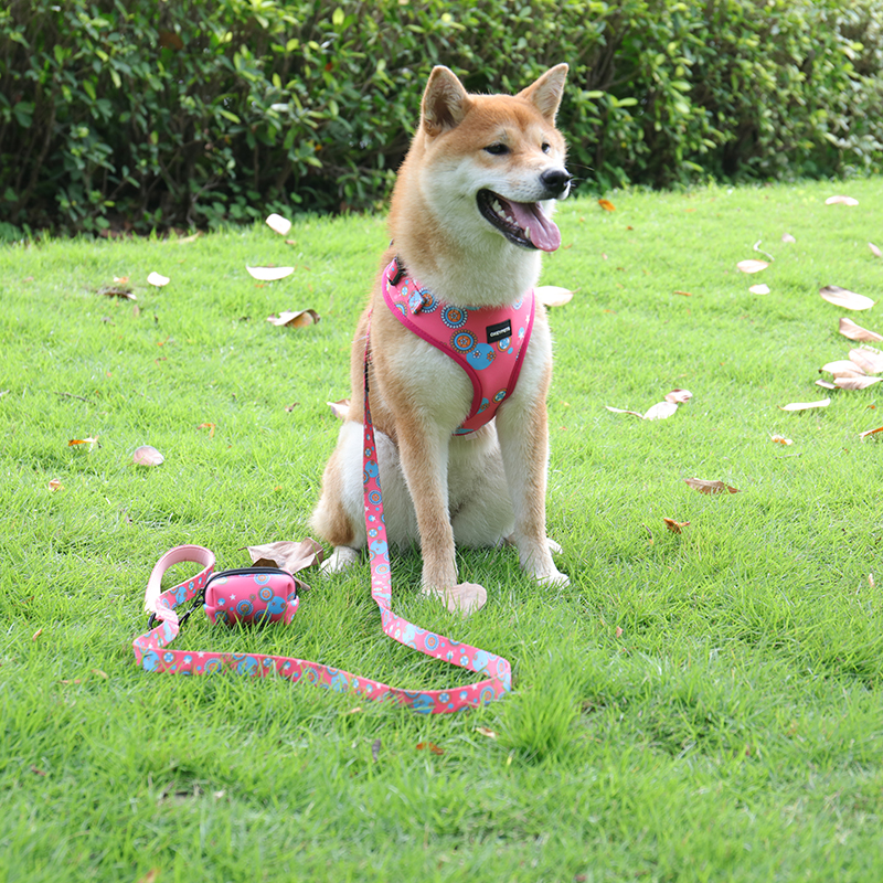 OKEYPETS - OKEYPETS Vestă din neopren, moale, respirabilă, căptușită, la modă, fără tragere, ham sport pentru câini, ham pentru animale de companie 8