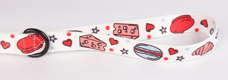 OKEYPETS - Laisse pour chien en polyester écologique avec mousqueton, design élégant et tendance, vendue en gros. 12