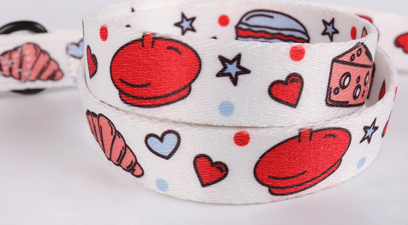 OKEYPETS - Laisse pour chien en polyester écologique avec mousqueton, design élégant et tendance, vendue en gros. 15