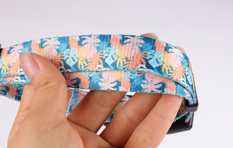 OKEYPETS - Fabricant de colliers pour chiens OKEYPETS - Colliers colorés, luxueux et tendance pour l'entraînement - Sangle en polyester ajustable et personnalisable - Collier pour chien en polyester - Dollar pour chien 11