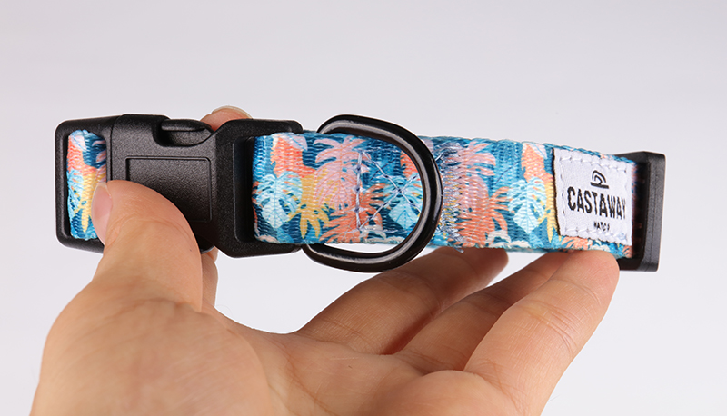 OKEYPETS - Fabricant de colliers pour chiens OKEYPETS - Colliers colorés, luxueux et tendance pour l'entraînement - Sangle en polyester ajustable et personnalisable - Collier pour chien en polyester - Dollar pour chien 12