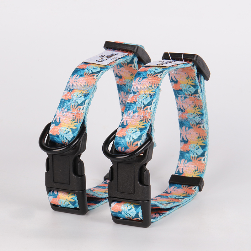 OKEYPETS - Fabricant de colliers pour chiens OKEYPETS - Colliers colorés, luxueux et tendance pour l'entraînement - Sangle en polyester ajustable et personnalisable - Collier pour chien en polyester - Dollar pour chien 9