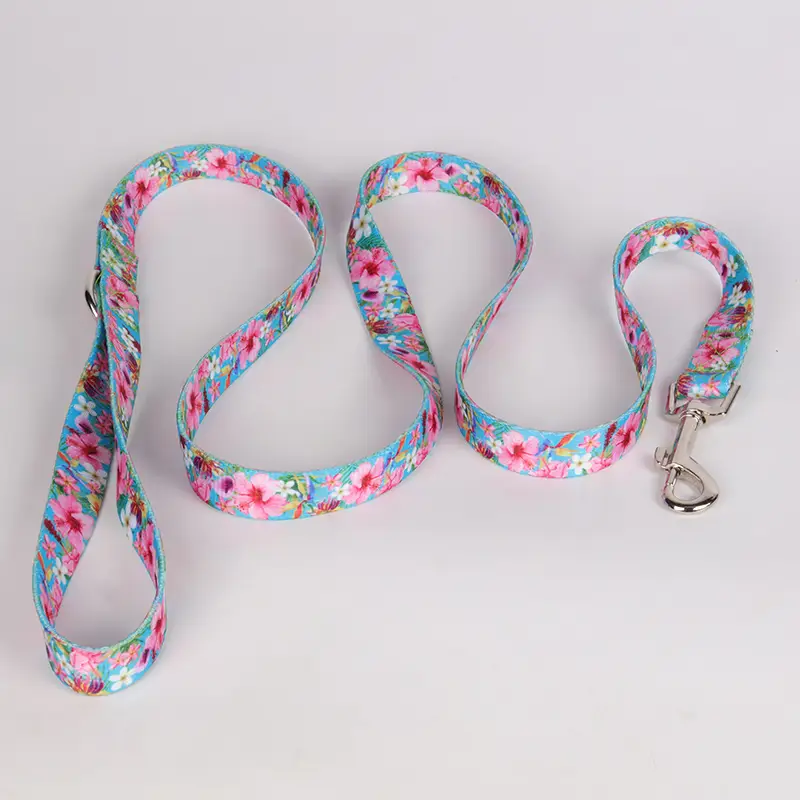 OKEYPETS - Laisse pour chien OKEYPETS en polyester durable, sûre et confortable, avec motif confortable et imprimé personnalisé. Laisse d'été pour chien en polyester. 1