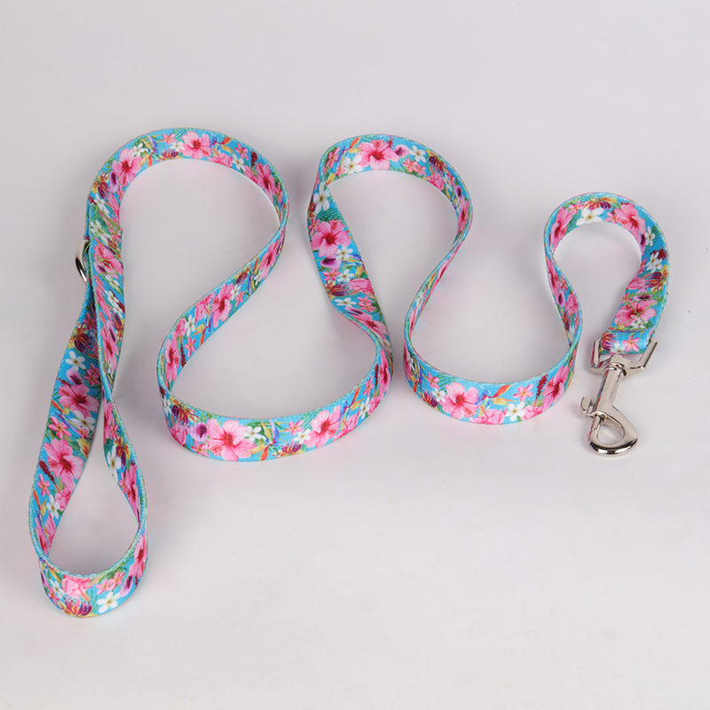 OKEYPETS - Laisse pour chien OKEYPETS en polyester durable, sûre et confortable, avec motif confortable et imprimé personnalisé. Laisse d'été pour chien en polyester. 9