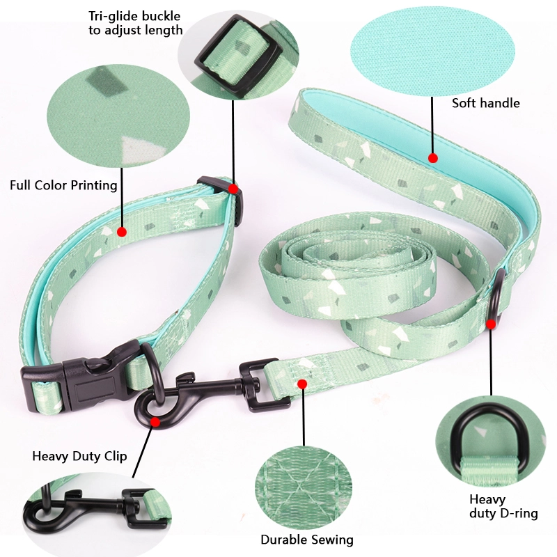 OKEYPETS Nouveaux produits pour animaux de compagnie Laisse pour chiots et chats de petite et moyenne taille 8