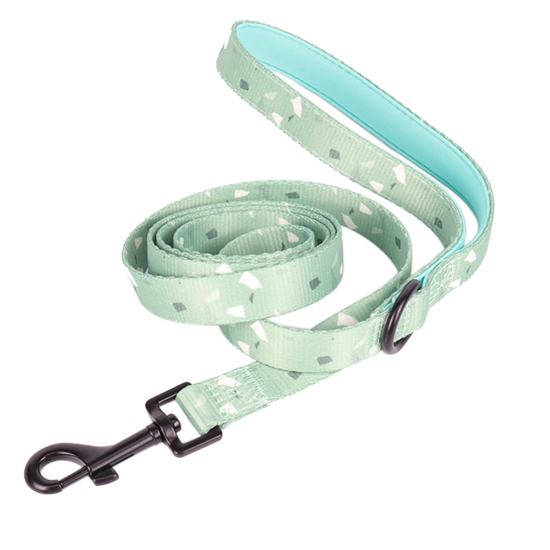 OKEYPETS Nouveaux produits pour animaux de compagnie Laisse pour chiots et chats de petite et moyenne taille 9