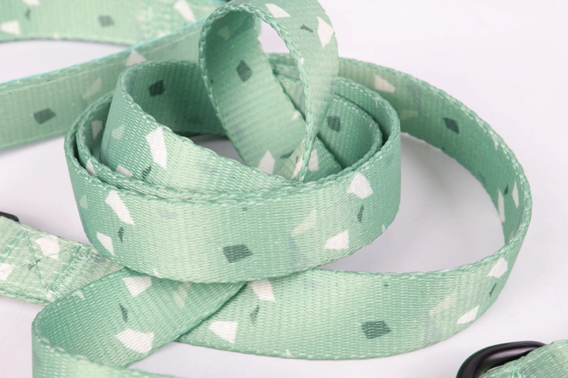 OKEYPETS Nouveaux produits pour animaux de compagnie Laisse pour chiots et chats de petite et moyenne taille 10