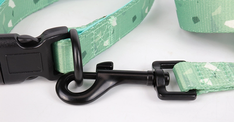 OKEYPETS Nouveaux produits pour animaux de compagnie Laisse pour chiots et chats de petite et moyenne taille 12