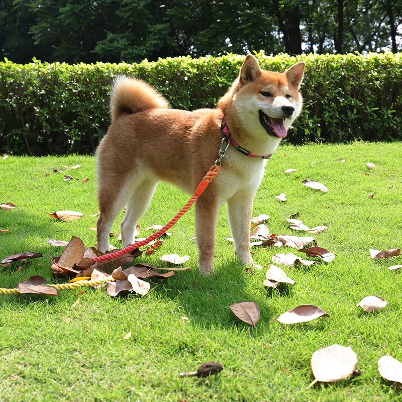 OKEYPETS Atraktivní ručně vyráběné bavlněné pletené paracordové vodítko pro psy v zaprášené růžové barvě 16