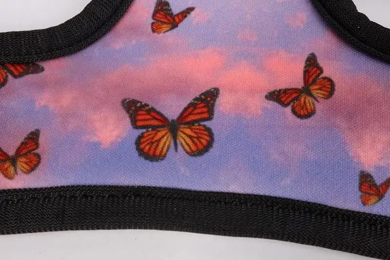 Veiste Peataí Neoprene Madraí Gleoite 5