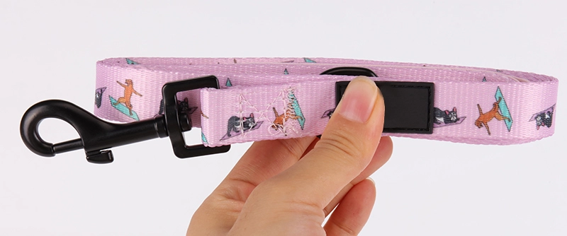 OKEYPETS Accessoires pour chiens - Faible quantité minimale de commande - Laisse personnalisée avec poignée rembourrée en néoprène 11