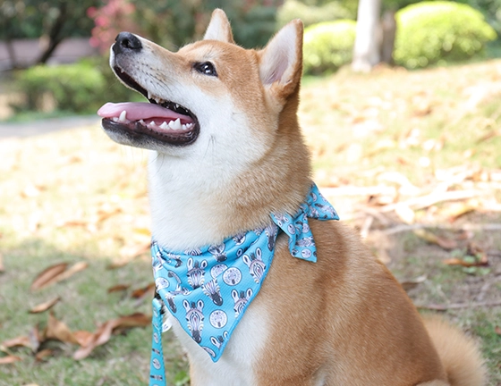 OKEYPETS Vente en gros Écharpe à motif zèbre triangulaire pour chien, style unique et inédit 8