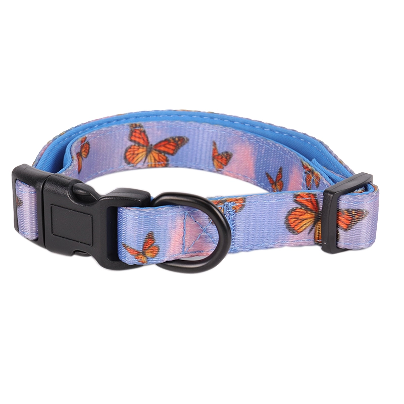 Collier d'éducation pour chiot OKEYPETS ajustable, doux et confortable, pour les promenades en extérieur 10