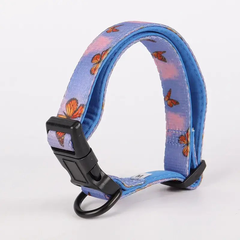 Soft Neoprene Padded Dog Collar for Comfortable Puppy Training 5
