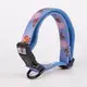 Soft Neoprene Padded Dog Collar for Comfortable Puppy Training 5