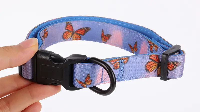 Collier d'éducation pour chiot OKEYPETS ajustable, doux et confortable, pour les promenades en extérieur 1