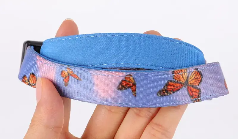 Soft Neoprene Padded Dog Collar for Comfortable Puppy Training 4