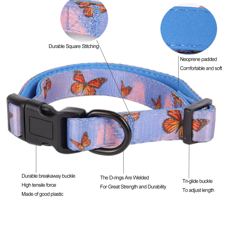 Collier d'éducation pour chiot OKEYPETS ajustable, doux et confortable, pour les promenades en extérieur 7