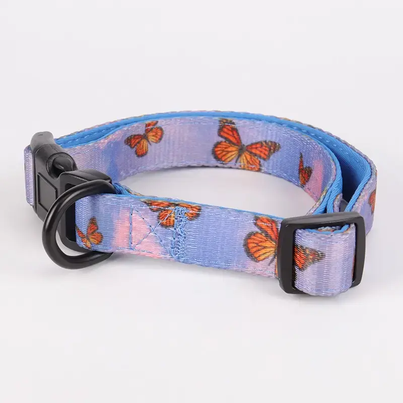 Soft Neoprene Padded Dog Collar for Comfortable Puppy Training 2