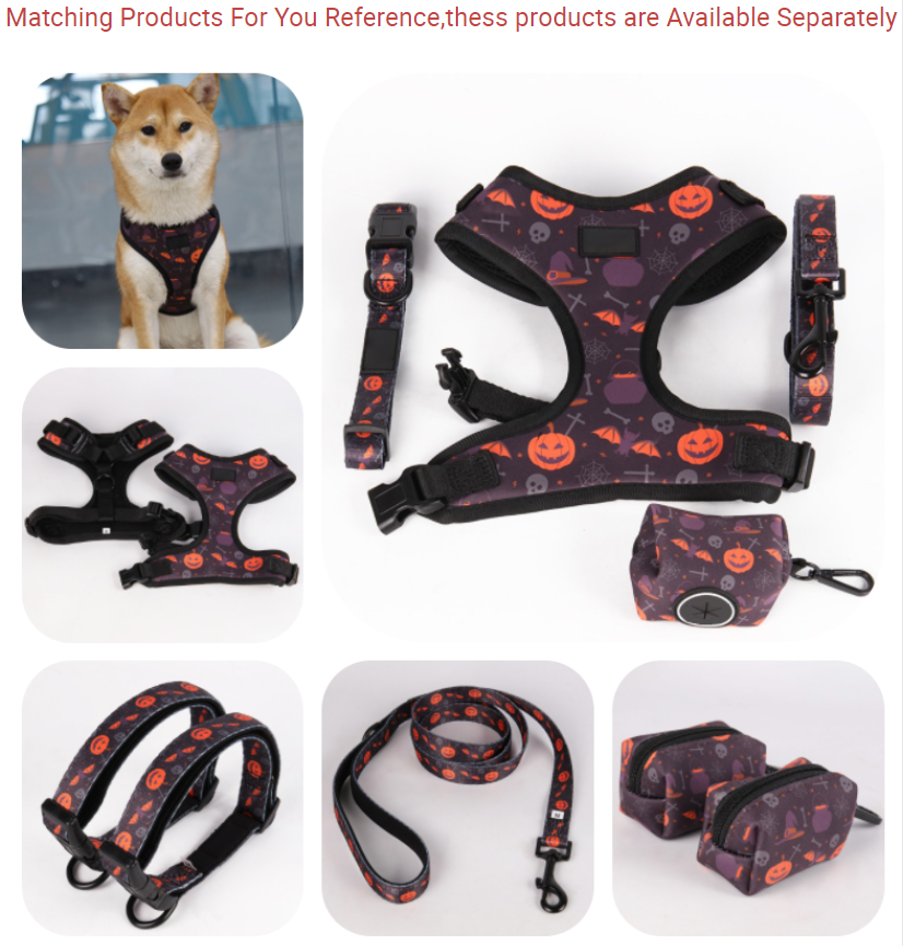 OKEYPETS Fournisseur de colliers pour chiens personnalisés Collier pour chien ajustable pour Halloween avec logo 11