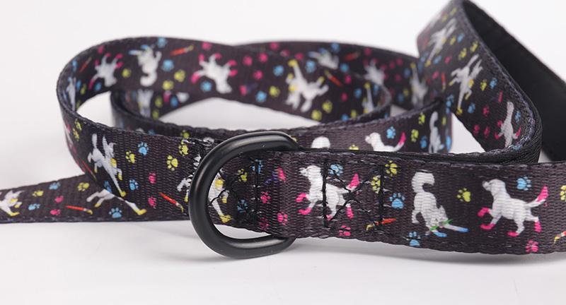 OKEYPETS Collier et laisse pour chien à motif pattes colorées, résistants, ajustables et confortables, avec nœud papillon. 13