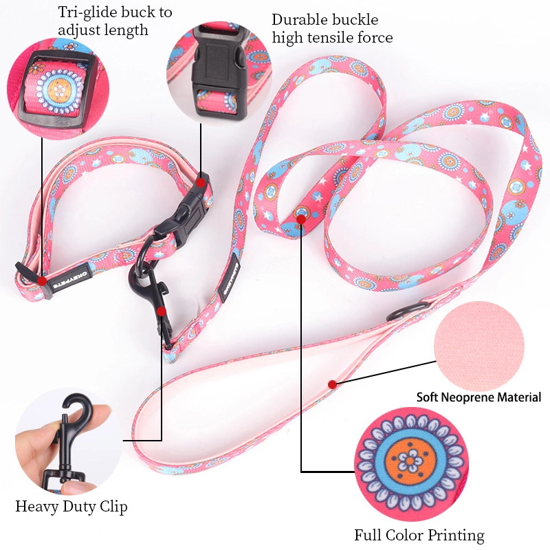 OKEYPETS Accessoires pour chiens Collier et laisse ajustables, mignons, roses, à motif floral doux 10