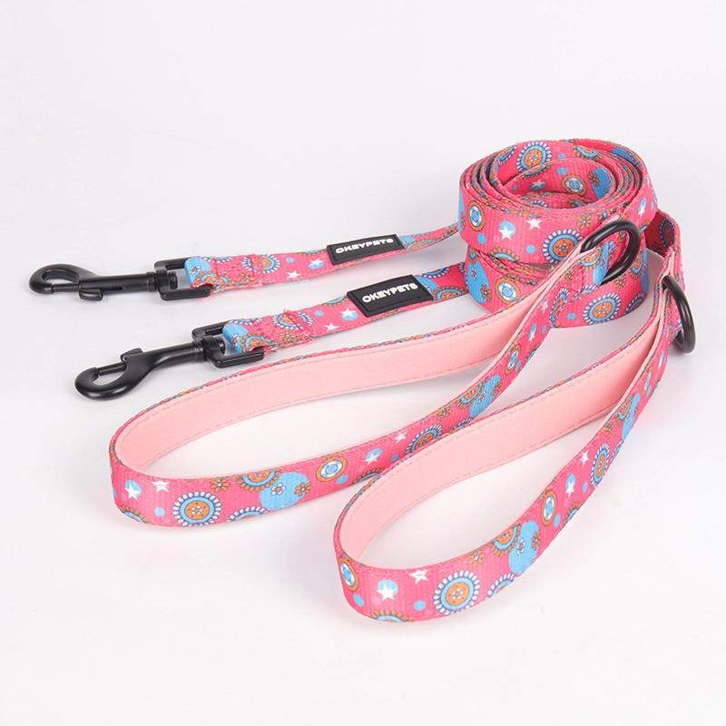 OKEYPETS Accessoires pour chiens Collier et laisse ajustables, mignons, roses, à motif floral doux 14