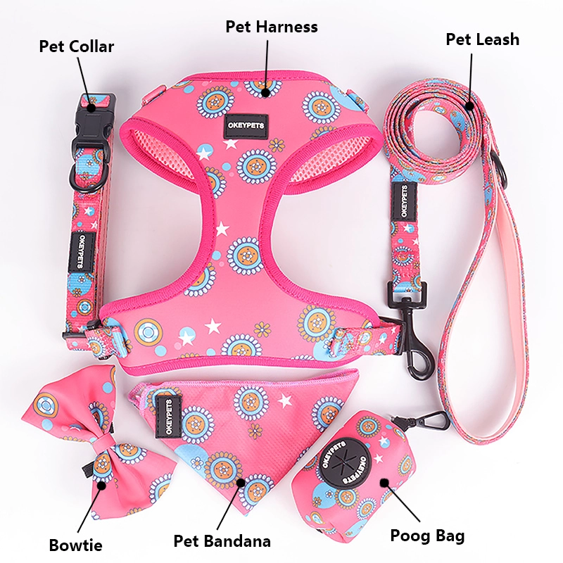 OKEYPETS Accessoires pour chiens Collier et laisse ajustables, mignons, roses, à motif floral doux 17
