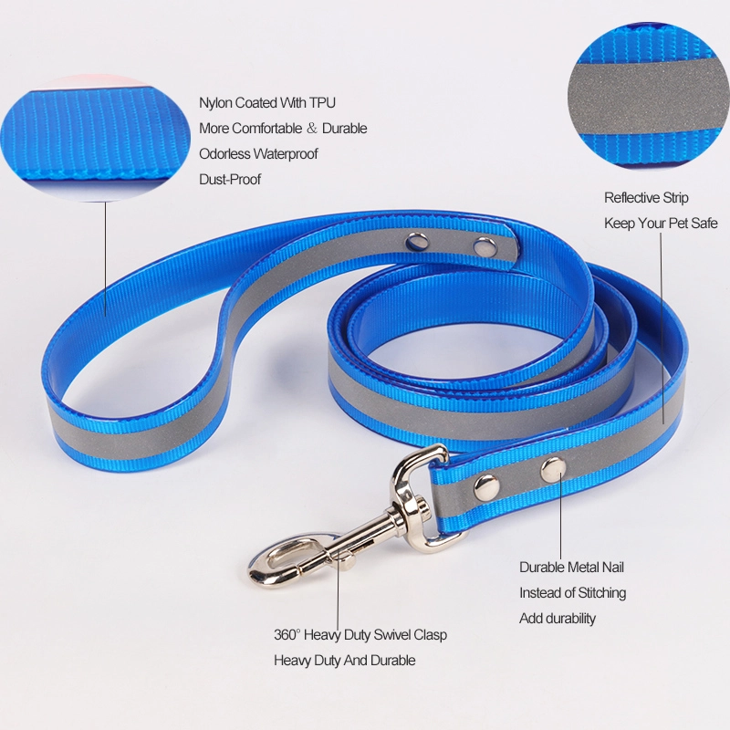 Collier de dressage pour chien OKEYPETS en sangle de nylon enduite de TPU, imperméable et réglable avec réflecteur 10
