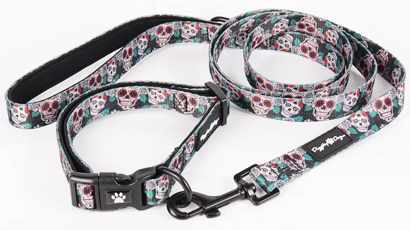 Ensemble collier et laisse pour chien OKEYPETS avec motif squelette unique et spécial 1