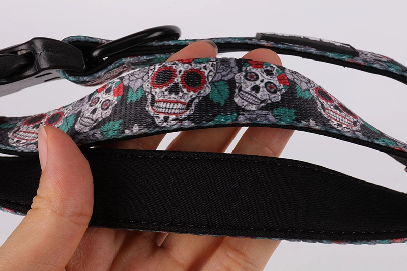 Ensemble collier et laisse pour chien OKEYPETS avec motif squelette unique et spécial 15