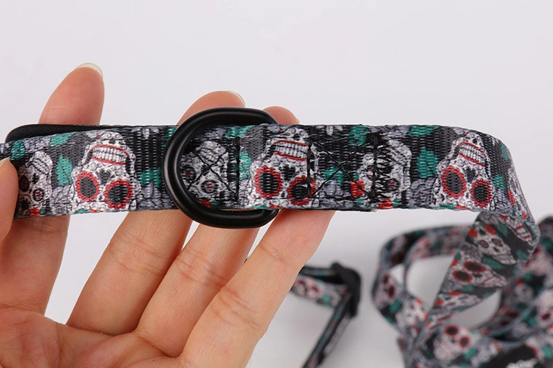 Ensemble collier et laisse pour chien OKEYPETS avec motif squelette unique et spécial 13