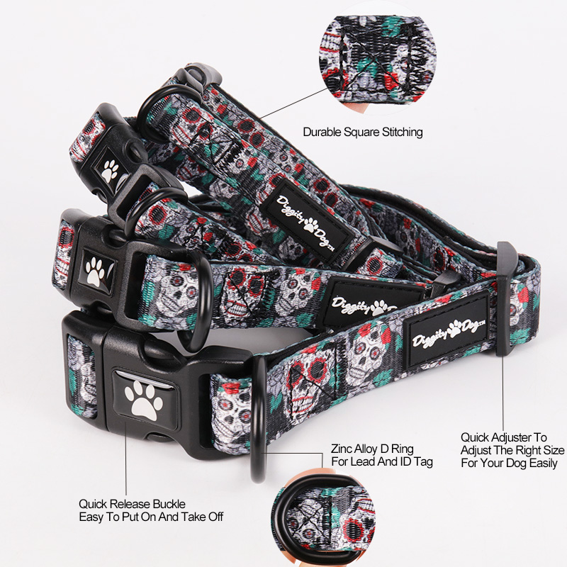 Ensemble collier et laisse pour chien OKEYPETS avec motif squelette unique et spécial 8