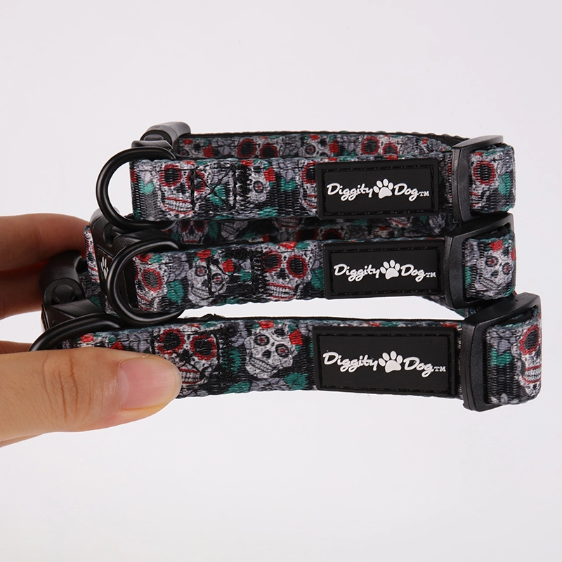 Ensemble collier et laisse pour chien OKEYPETS avec motif squelette unique et spécial 10