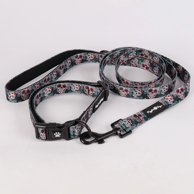 Ensemble collier et laisse pour chien OKEYPETS avec motif squelette unique et spécial 16