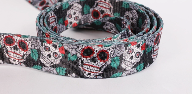 Ensemble collier et laisse pour chien OKEYPETS avec motif squelette unique et spécial 14