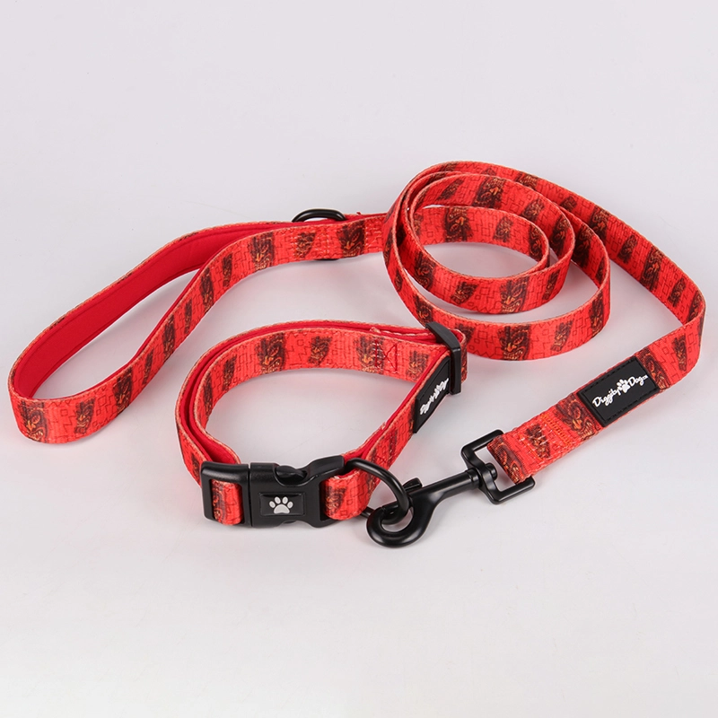 Laisse pour chien OKEYPETS, nouveau modèle, haute qualité, avec poignée rembourrée en néoprène, fabriquée en Chine. 12