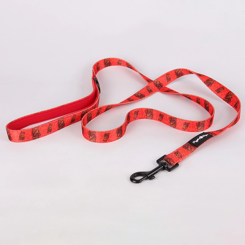 Laisse pour chien OKEYPETS, nouveau modèle, haute qualité, avec poignée rembourrée en néoprène, fabriquée en Chine. 8