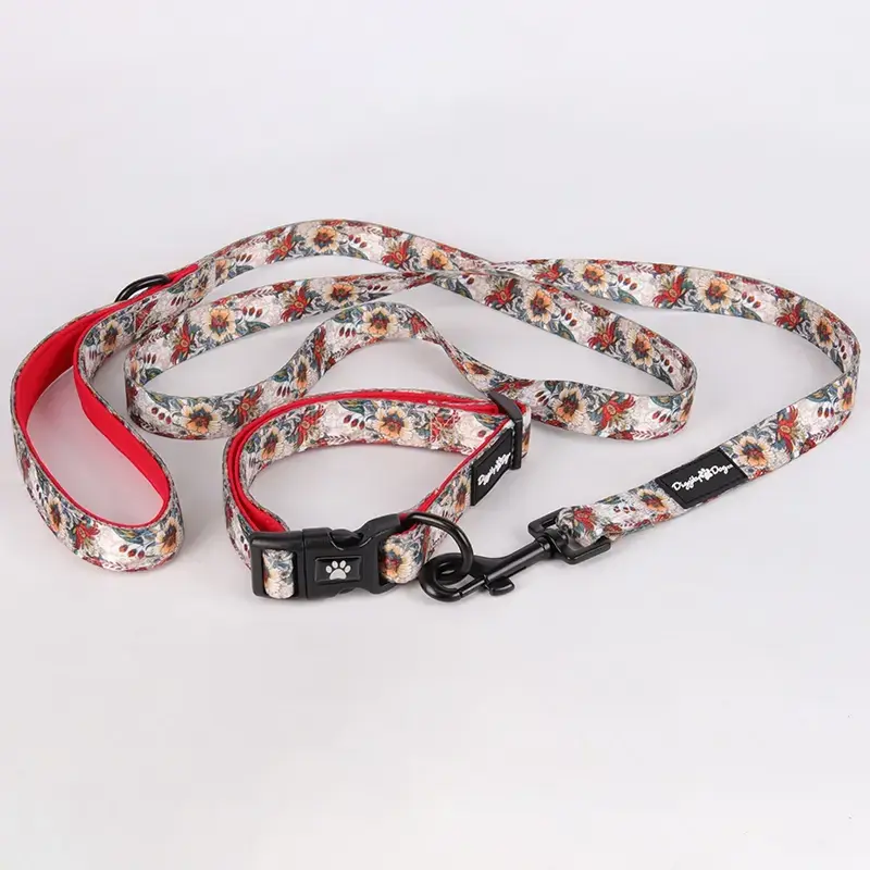 custom dog leash manufacturer at Wholesale Prices | OKEYPETS 4